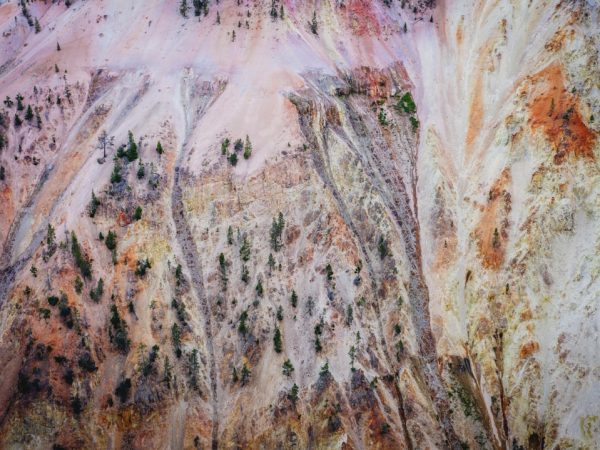 Photo Wall tapestries